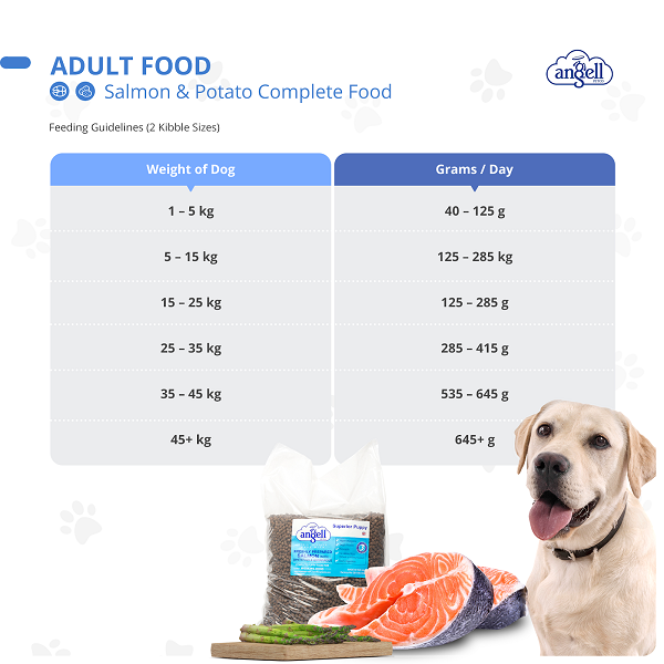 Dog Feeding Chart 